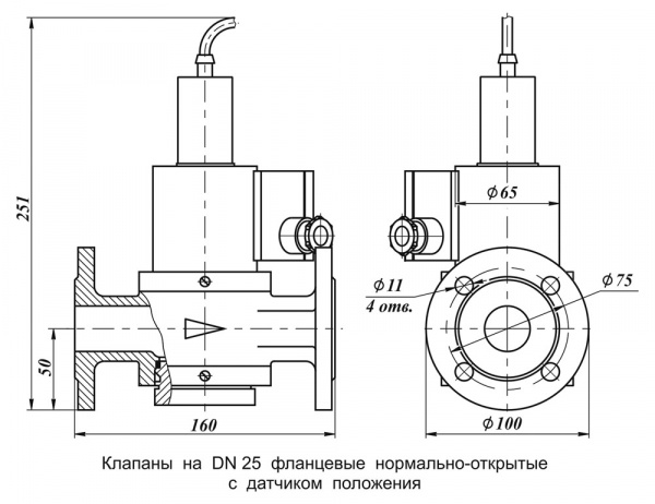 Клапаны электромагнитные двухпозиционные фланцевые DN 15-25, стальные, нормально-открытые, с датчиком положения
